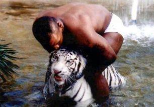 王老虎被爆料视频大全最新,揭秘娱乐圈惊人内幕